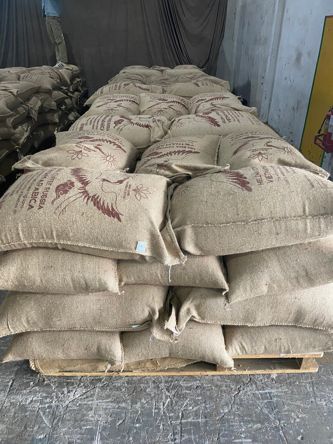 Vietnam’s Fine Robusta: A New Chapter for the World’s Largest Producer