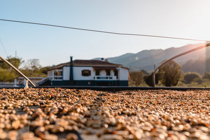 Icatu | Beneficio Pedra Branca