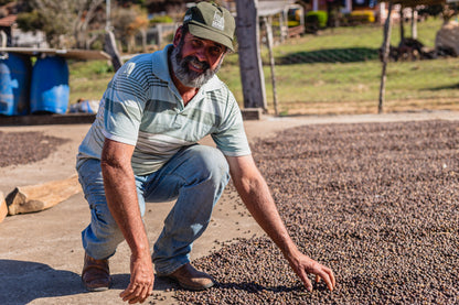 Red Catuai | Sitio Balaio # Fernandes Family