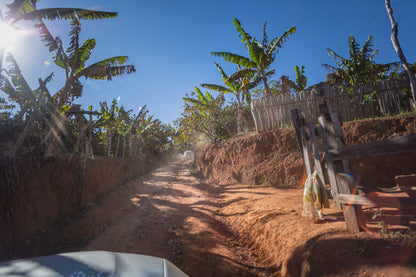 Red Catuai | Sitio Balaio # Fernandes Family