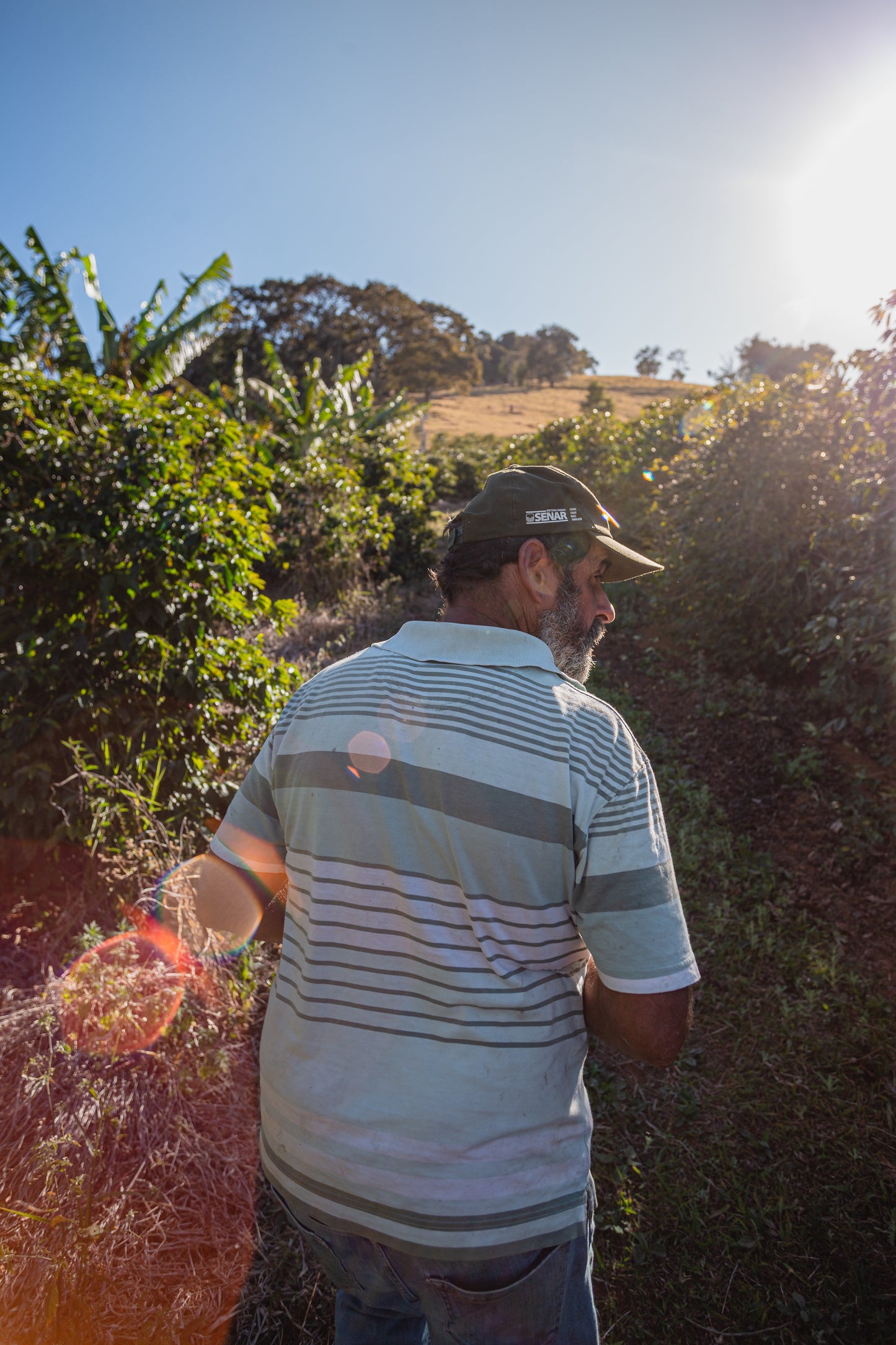 Red Catuai | Sitio Balaio # Fernandes Family