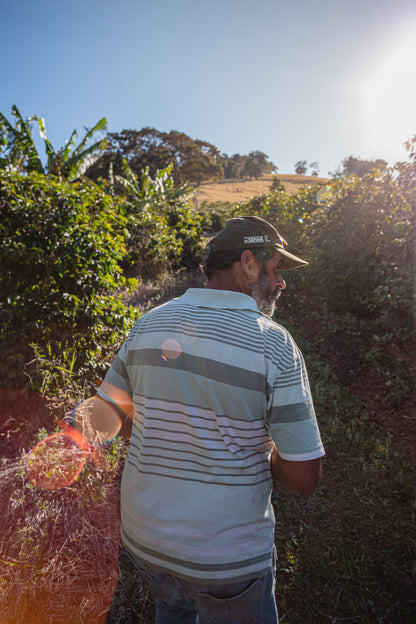 Red Catuai | Sitio Balaio # Fernandes Family